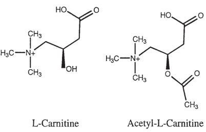 l-carnitine-chemica-structure