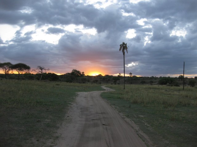 TZ_Tarangire_at_sunset