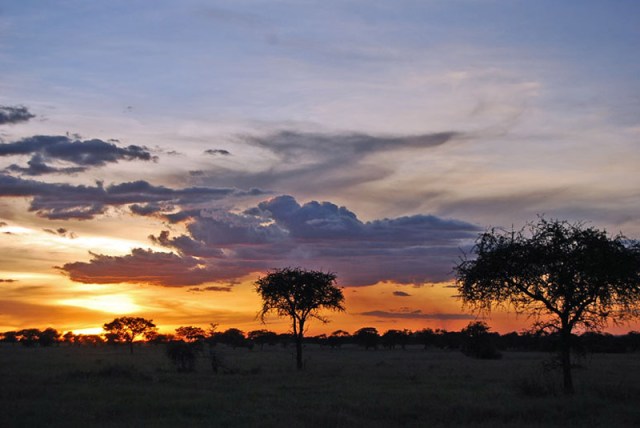 Western-Serengeti-sunset_L