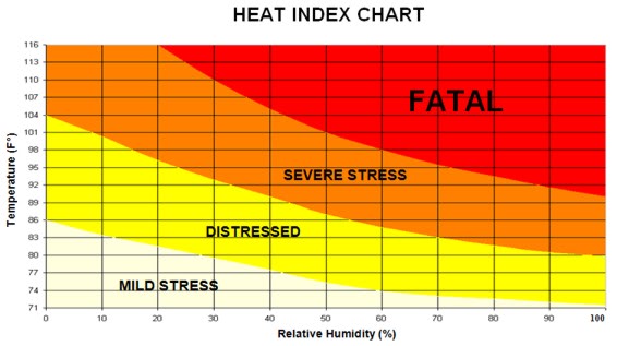 heat_stress
