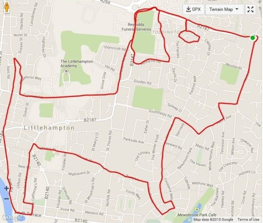 strava running dog